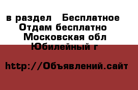  в раздел : Бесплатное » Отдам бесплатно . Московская обл.,Юбилейный г.